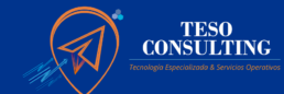 TESO CONSULTING